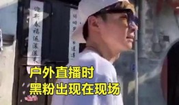 枞阳黑粉爆料事件最新,真相与争议交织的网络漩涡